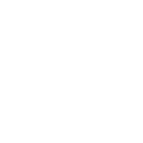 Eye Animation